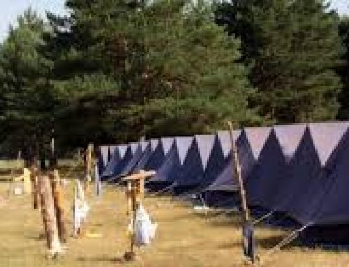 Campamento Urbano de Verano